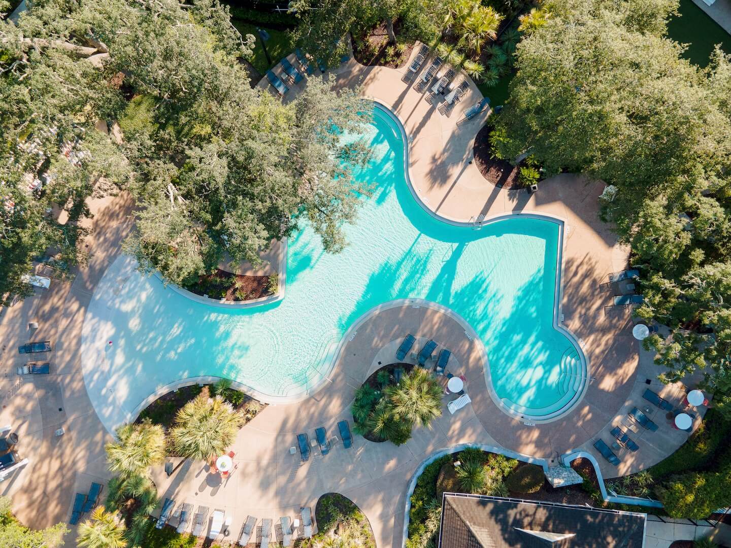 aerial view of sparkling pool in gainesville