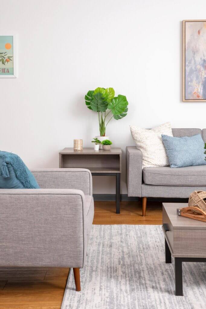 livingroom in gainesville student apartments